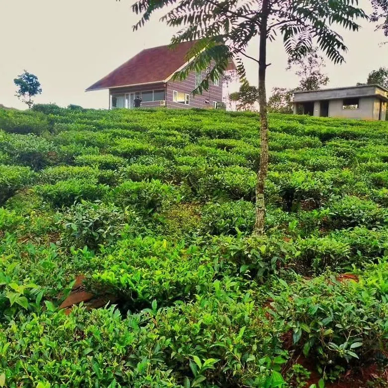 Willa Cuckoos Nest Vagamon Indie